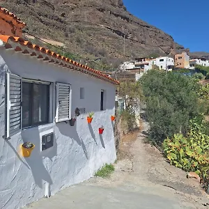 Pinares El Juncal De Tejeda (Gran Canaria)